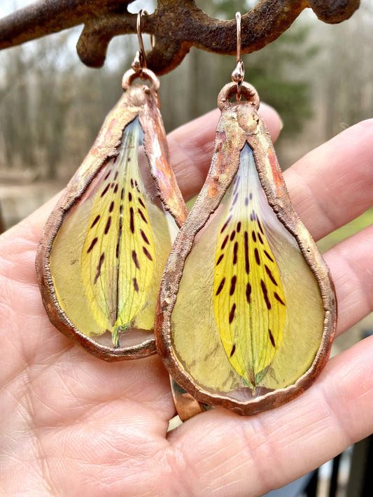Yellow Peruvian Lily Earrings
