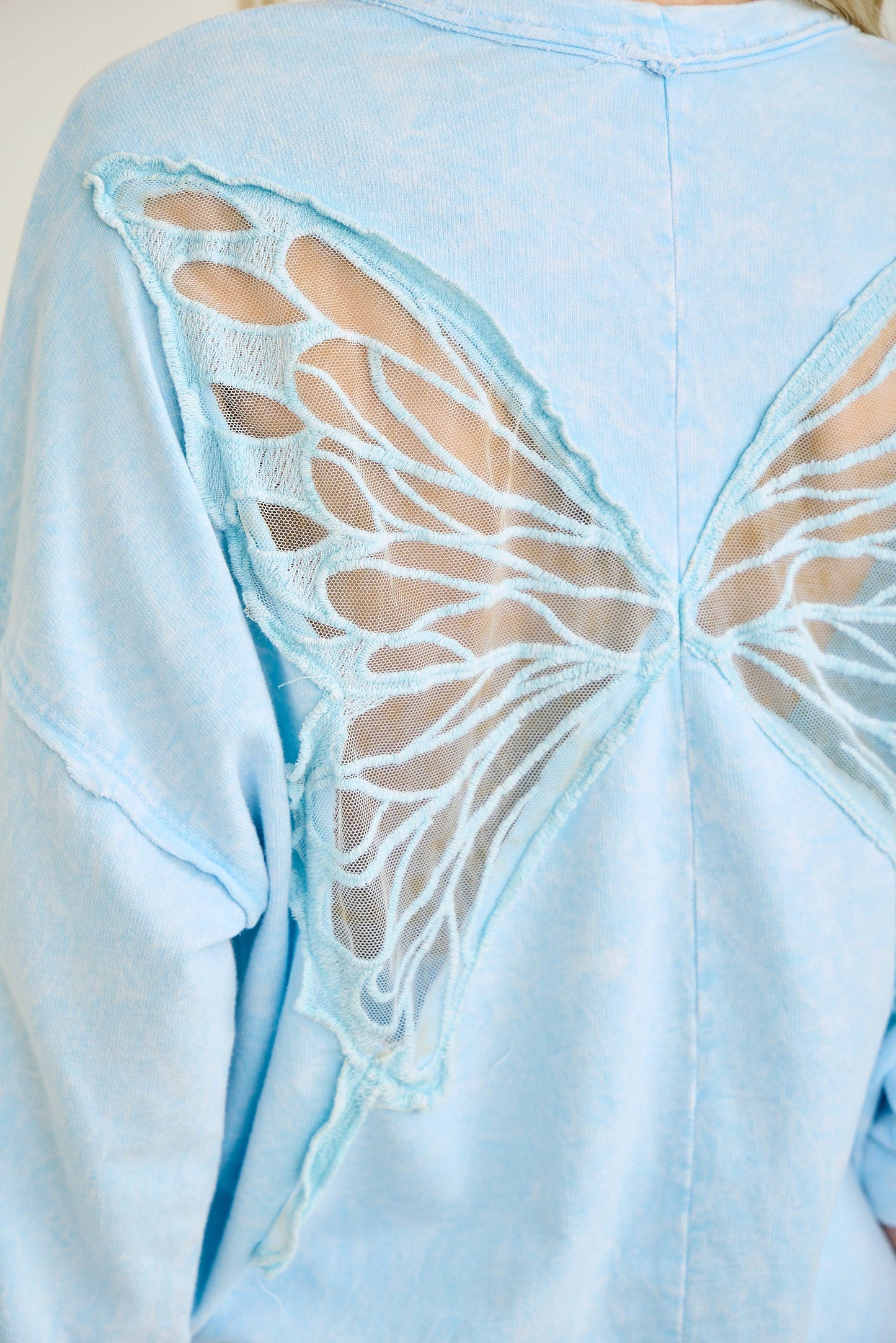 Mineral Wash Butterfly appliques Top