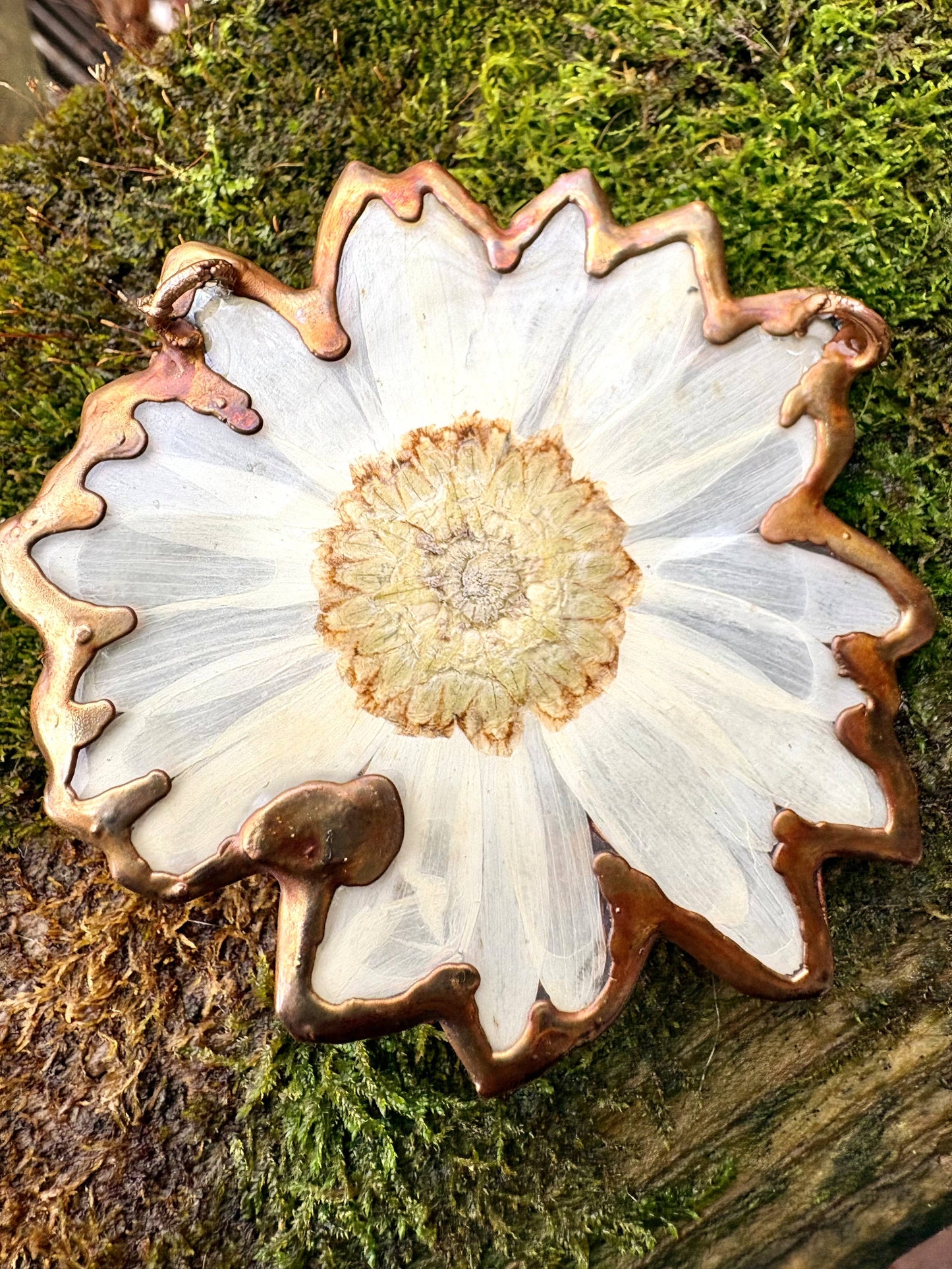 Real Shasta Daisy with Scarab Necklace