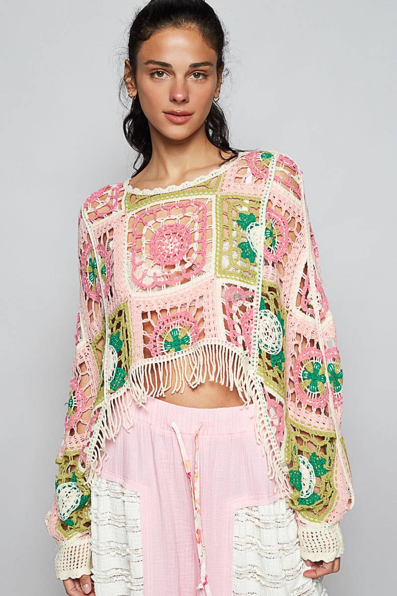 Round Neck Long Sleeve Crochet Cropped Top