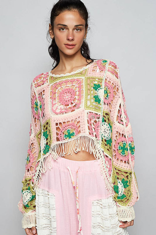 Round Neck Long Sleeve Crochet Cropped Top