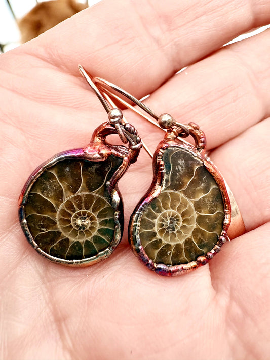 Ammonite Earrings