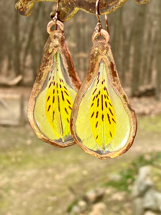 Yellow Peruvian Lily Earrings