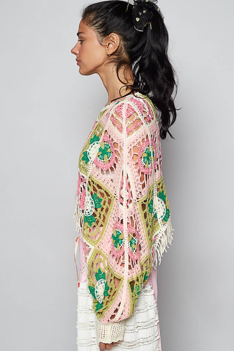 Round Neck Long Sleeve Crochet Cropped Top