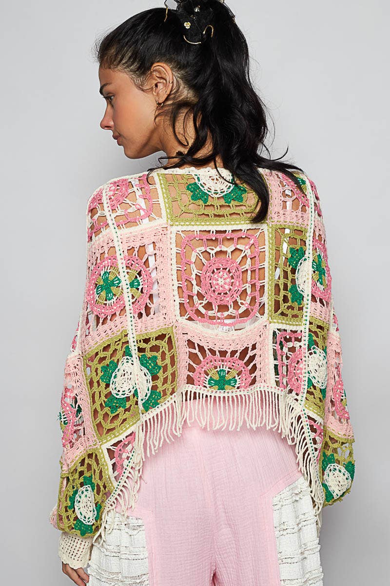 Round Neck Long Sleeve Crochet Cropped Top