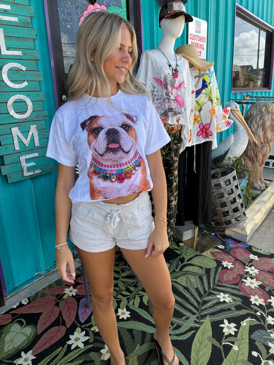 Jeweled Collar Bulldog White  Crew