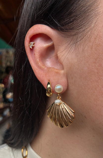 Scallop Shell and Pearl Earrings