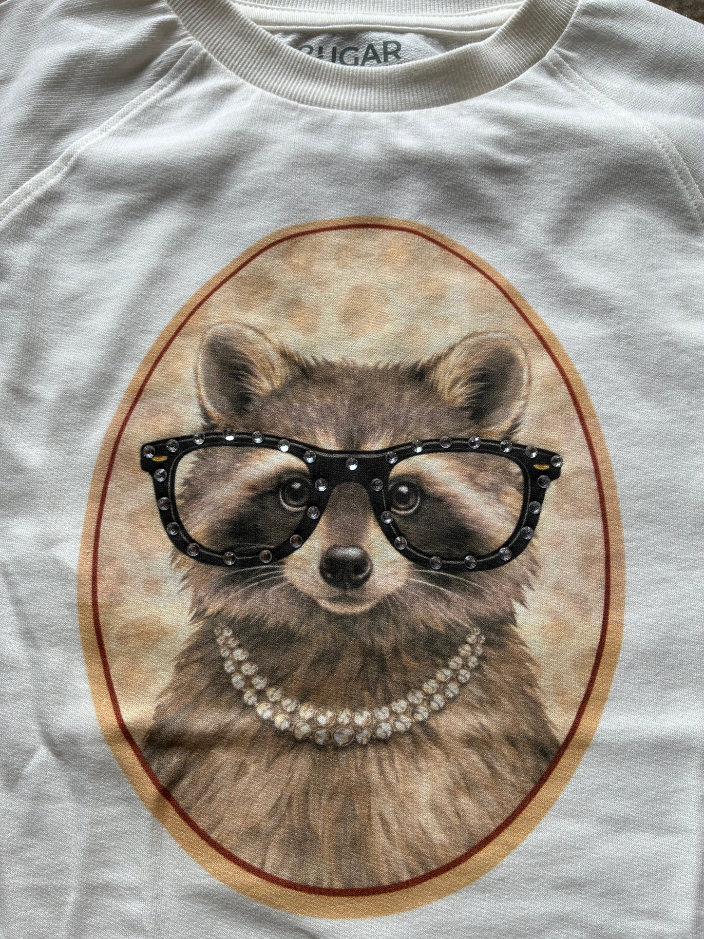 Fancy Raccoon Top
