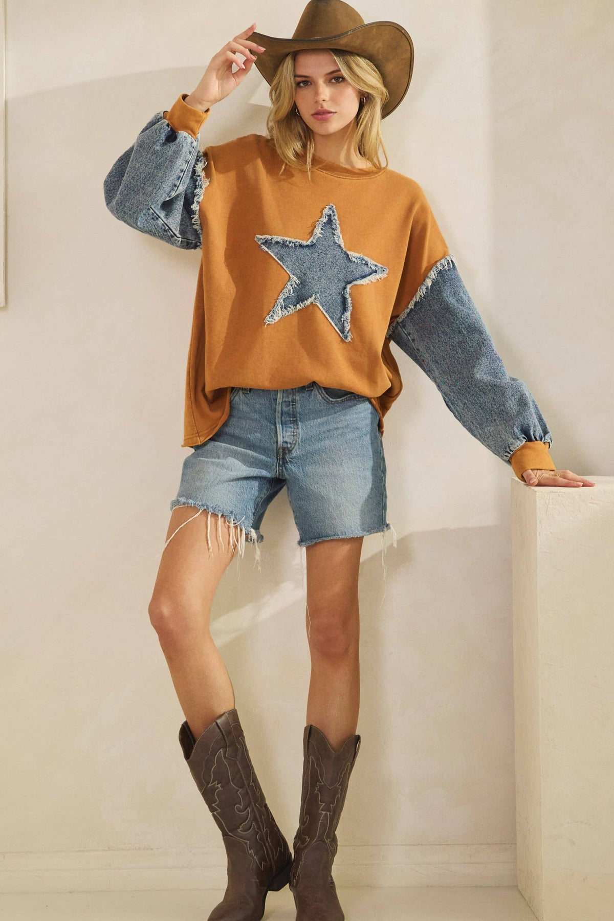 WILD STAR  SLEEVE PULLOVER
