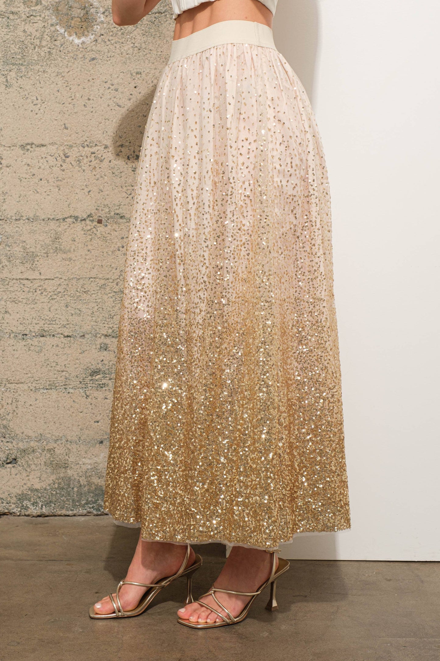 Gradient Sequin Embellished Maxi Tulle Skirt