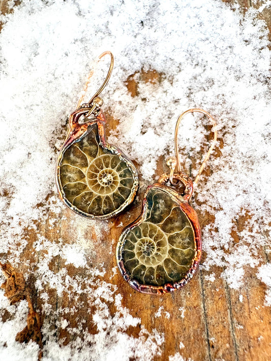 Ammonite Earrings