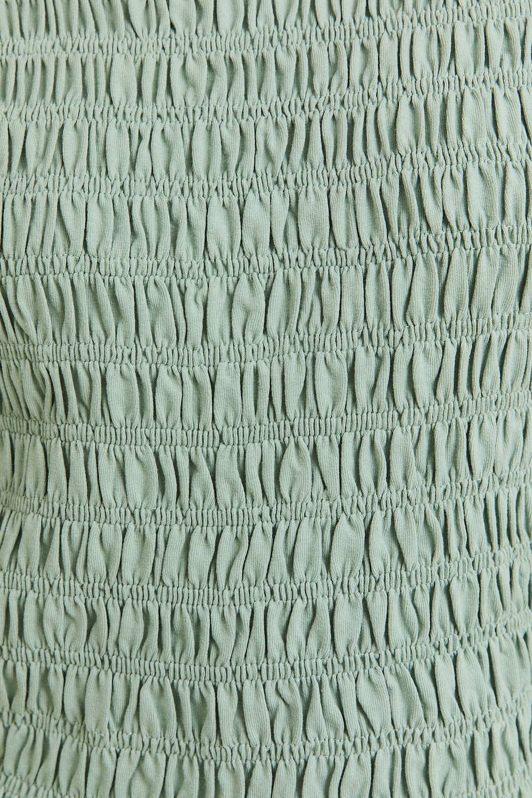 Sage Ruched Crew Neckline Top