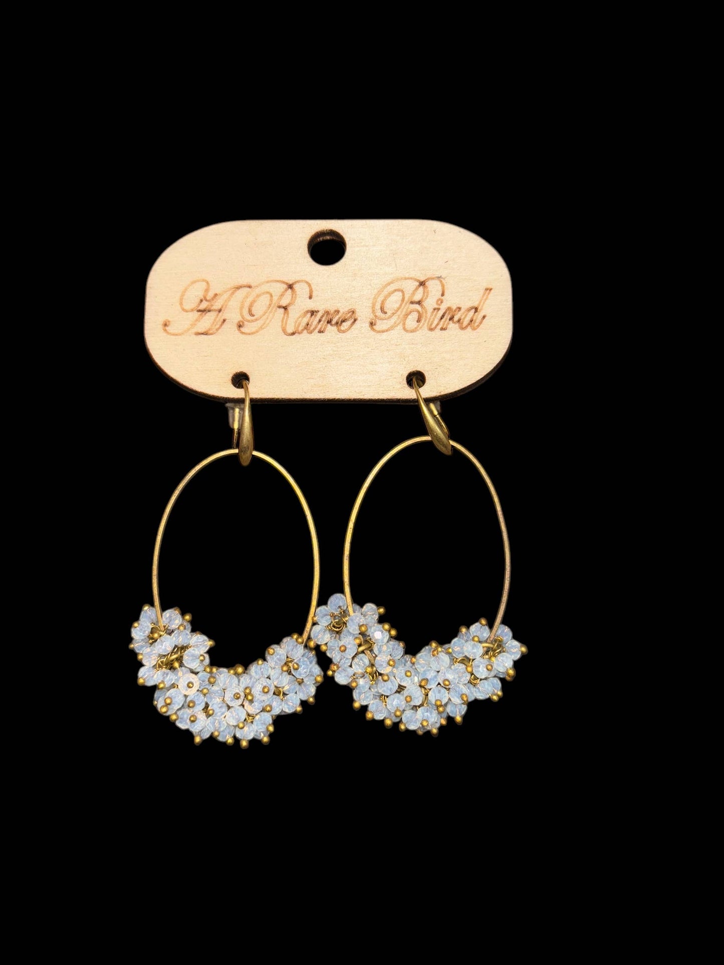 Dangle Crystal Earrings